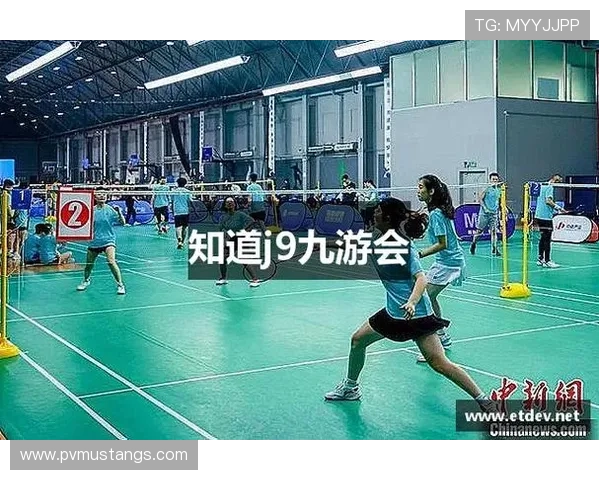 了解j9真人游戏平台的最新信息及其安全性分析