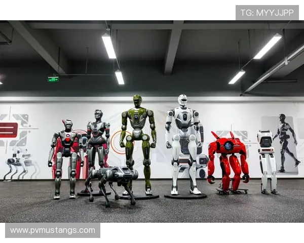 J9九游app登录界面优化升级最新版本界面变化及操作指南