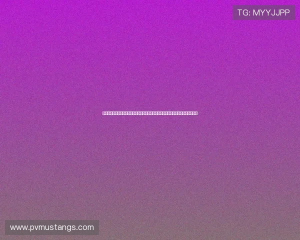 九游官网首页进入网站的全面指南，涵盖登录流程、常见问题及优化建议提升用户体验