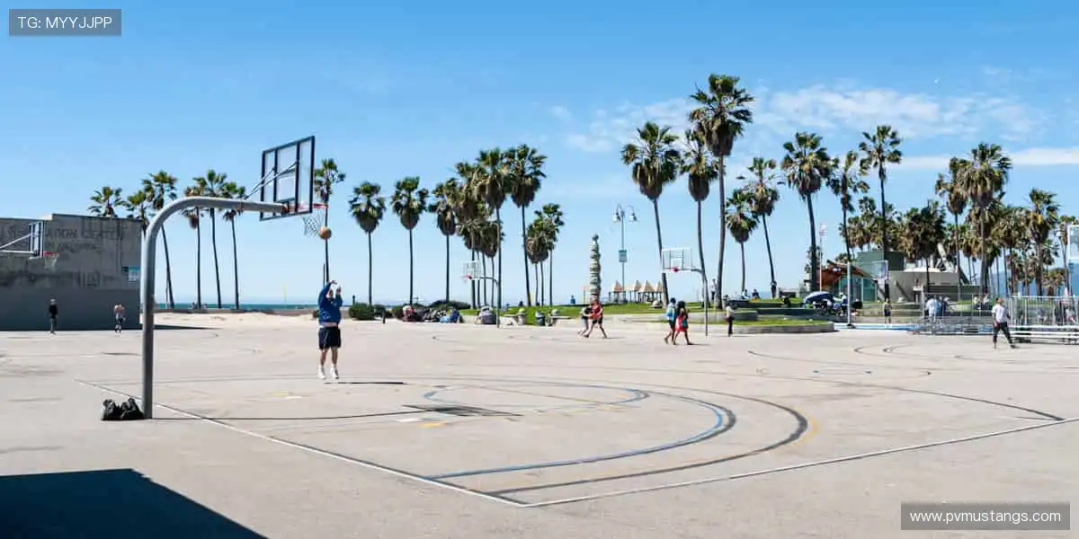 视讯真人体育平台：真人赛事荷官高赔，高清投注不错过